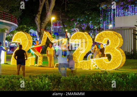 number 2020 lighting in a park Stock Photo