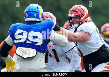 Cincinnati Bengals guard Alex Cappa (65) runs for the play during an NFL  football game against the Atlanta Falcons, Sunday, Oct. 23, 2022, in  Cincinnati. (AP Photo/Emilee Chinn Stock Photo - Alamy