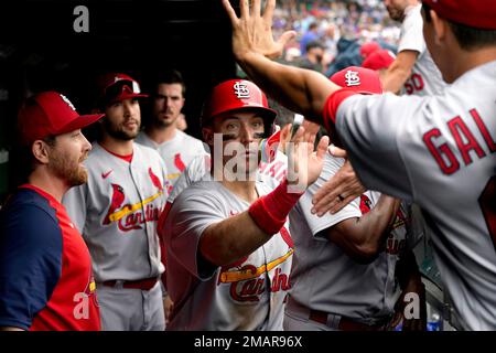 St. Louis Cardinals on X: His name is Andrew Knizner and he just crushed a  clutch home run! 👌  / X