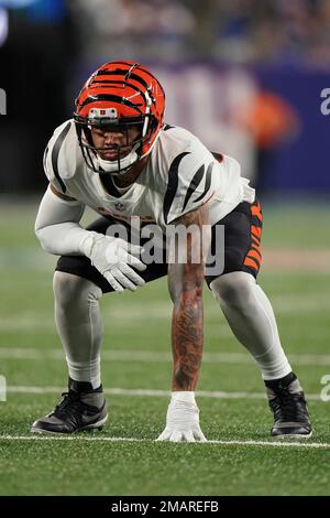 Cincinnati Bengals tight end Thaddeus Moss (81) reacts after his touchdown  is waived off as incomplete during a preseason NFL football game against  the Los Angeles Rams Saturday, Aug. 27, 2022, in