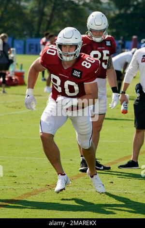 Arizona Cardinals tight end Bernhard Seikovits (43), of Austria