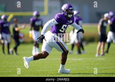 Minnesota Vikings linebacker Jordan Hicks (58) on the field after an NFL  football game against the New England Patriots, Thursday, Nov. 24, 2022 in  Minneapolis. (AP Photo/Stacy Bengs Stock Photo - Alamy