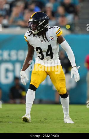 Jacksonville, United States. 22nd Nov, 2020. Steelers Safety Terrell  Edmunds (34) celebrates an interception as the Pittsburgh Steelers compete  against the Jaguars at the TIAA Bank Field in Jacksonville, Florida on  Sunday