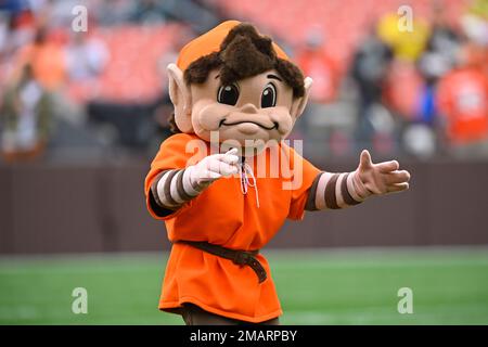 Download Cleveland Browns' Brownie The Elf Wallpaper