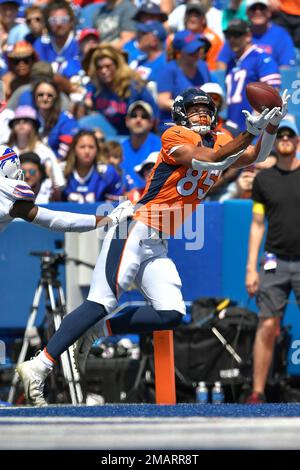 Buffalo Bills tight end Quintin Morris (85) in action during an NFL pre ...