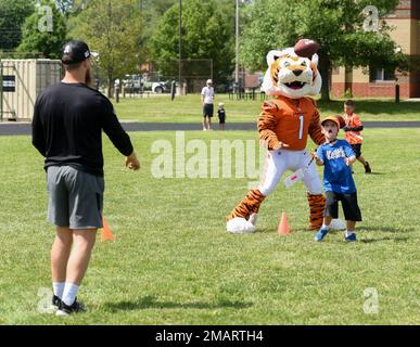 Cincinnati Bengals long snapper Cal Adomitis (48) looks on during