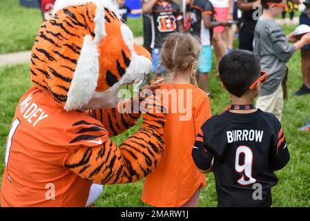 Cincinnati Bengals mascot Who Dey signs autographs for a Wright-Patterson Air Force Base, Ohio, military child at the USO-sponsored Cincinnati Bengals football skills clinic, June 3, 2022. A group of Bengal rookies had lunch with Airmen, toured the base, and led the skills clinic for 99 Wright-Patt military children. Stock Photo