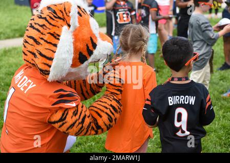 Airmen Visit Cincinnati Bengals > Wright-Patterson AFB > Article Display