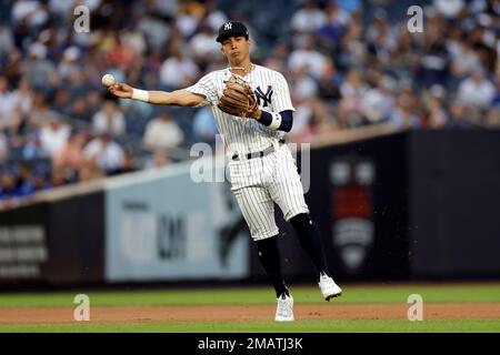 New York Yankees' Oswaldo Cabrera (95) reacts during the second inning of  the team's baseball game against the Toronto Blue Jays on Friday, Aug. 19,  2022, in New York. (AP Photo/Adam Hunger