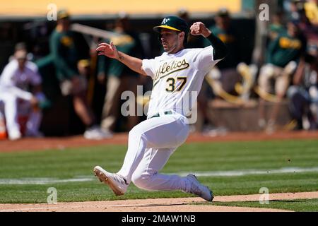 Oakland Athletics' Cal Stevenson during a baseball game against