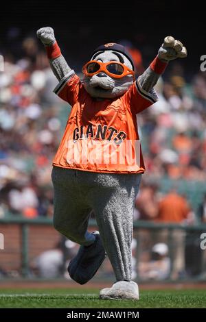 9 August, 2010: San Francisco Giants mascot LOU SEAL wearing a tie-dye shirt  with the Grateful Dead logo during Jerry Garcia tribute night at AT&T Park  in San Francisco, California. The San