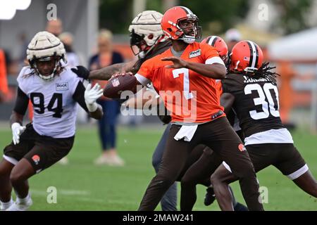 Cleveland Browns quarterback Jacoby Brissett (7) stands on the field during  an NFL football game against the Tampa Bay Buccaneers, Sunday, Nov. 27,  2022, in Cleveland. (AP Photo/Kirk Irwin Stock Photo - Alamy