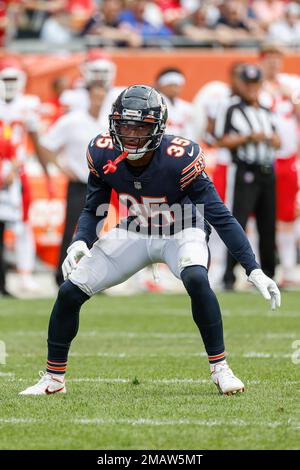 Chicago Bears fullback Khari Blasingame (35) catches a pass during warmups  before an NFL football game in Chicago, Sunday, Nov. 13, 2022. (AP  Photo/Nam Y. Huh Stock Photo - Alamy