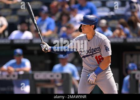 Tony Wolters of the Los Angeles Dodgers bats in the fifth inning
