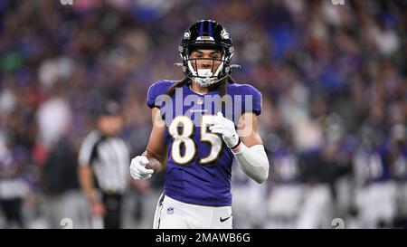 Baltimore Ravens wide receiver Shemar Bridges (85) during the first half of  an NFL preseason football game against the Arizona Cardinals, Sunday, Aug.  21, 2022, in Glendale, Ariz. (AP Photo/Rick Scuteri Stock