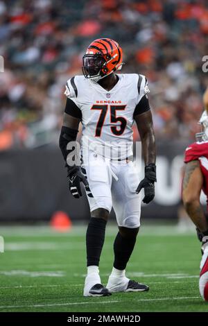 Arizona Cardinals defensive tackle Leki Fotu (95) looks up at a replay  during an NFL football game against the Cincinnati Bengals, Friday, Aug.  12, 2022, in Cincinnati. (AP Photo/Zach Bolinger Stock Photo - Alamy