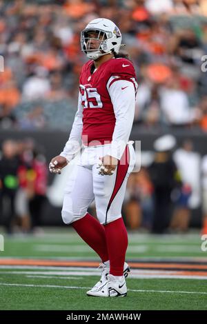 Arizona Cardinals defensive tackle Leki Fotu (95) looks up at a replay  during an NFL football game against the Cincinnati Bengals, Friday, Aug.  12, 2022, in Cincinnati. (AP Photo/Zach Bolinger Stock Photo - Alamy