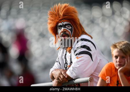 Fans tailgate before an NFL football game between the Cincinnati Bengals  and the San Francisco 49ers, Sunday, Sept. 15, 2019, in Cincinnati. (AP  Photo/Frank Victores Stock Photo - Alamy