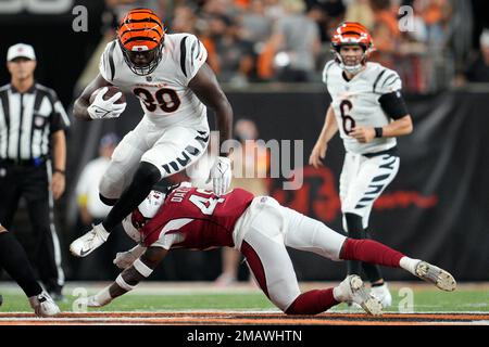 New York Giants linebacker Carter Coughlin (52) during an NFL preseason  football game against the Cincinnati Bengals, Sunday, Aug. 21, 2022 in East  Rutherford, N.J. The Giants won 25-22. (AP Photo/Vera Nieuwenhuis