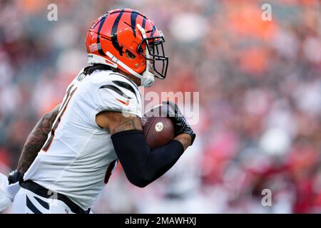 Cincinnati Bengals tight end Thaddeus Moss (81) celebrates a touchdown  during a preseason NFL football game against the Los Angeles Rams,  Saturday, Aug. 27, 2022, in Cincinnati. (AP Photo/Emilee Chinn Stock Photo  - Alamy