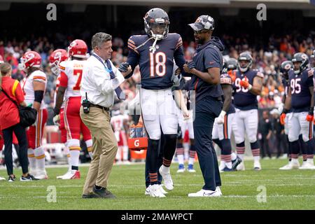 Chicago Bears wide receiver David Terrell (#83) catches the ball