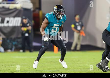 Jacksonville Jaguars safety Rudy Ford looks to the sideline during the  first half of the NFL football exhibition Hall of Fame Game against the Las  Vegas Raidershio. The Raiders won 27-11. (AP