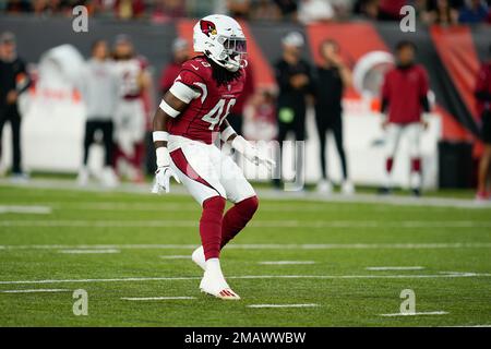 Cardinals beat Bengals 36-23 in preseason opener