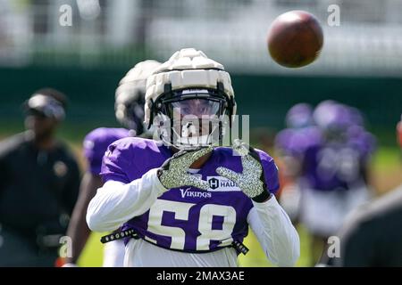 Minnesota Vikings linebacker Jordan Hicks (58) on the field after an NFL  football game against the New England Patriots, Thursday, Nov. 24, 2022 in  Minneapolis. (AP Photo/Stacy Bengs Stock Photo - Alamy