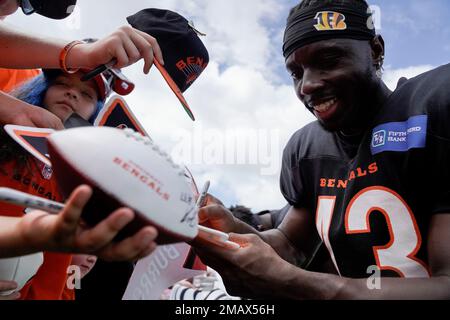 NFL: Cincinnati Bengals sign German Football League standout Abu  Daramy-Swaray