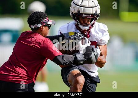 Washington Commanders running back Jonathan Williams (41) runs during an  NFL preseason football game against the Carolina Panthers, Saturday, Aug.  13, 2022 in Landover. (AP Photo/Daniel Kucin Jr Stock Photo - Alamy