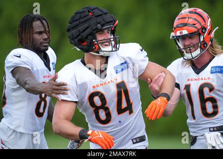 Cincinnati Bengals wide receiver Trenton Irwin (16) makes a catch for a  touchdown during an NFL football game against the Cleveland Browns,  Tuesday, Dec. 13, 2022, in Cincinnati. (AP Photo/Jeff Dean Stock