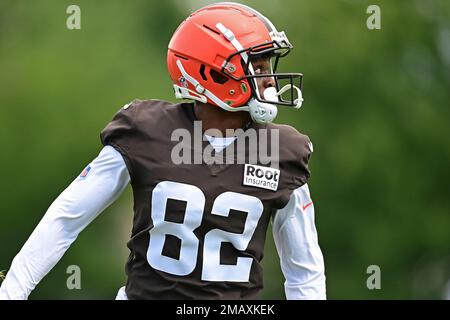 Former Browns' WR Mike Harley Jr. worked out for the Lions this