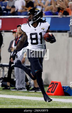 Jacksonville Jaguars wide receiver Willie Johnson (81) heads for the end  zone for a touchdown during the second half of the NFL football exhibition Hall  of Fame Game against the Las Vegas