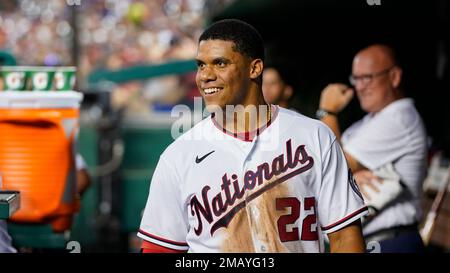 Photo: Nats' Juan Soto smiles from dugout during NLDS Game 4