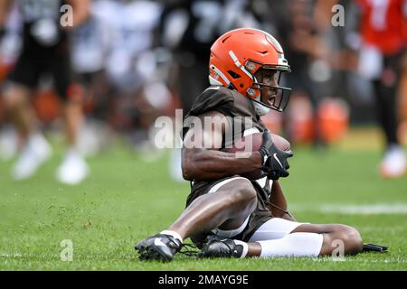 Cleveland Browns wide receiver Ja'Marcus Bradley (84) and tight end Miller  Forristall (86) line up for a play during an NFL preseason football game  against the Chicago Bears, Saturday Aug. 27, 2022