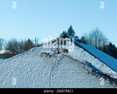 A SpaceX Starlink satellite dish mounted on the roof home, covered in snow and ice on a sunny winter afternoon. Stock Photo