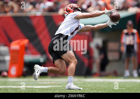 Cincinnati Bengals wide receiver Trent Taylor (11) participates in the  team's NFL football training camp Saturday, July 30, 2022, in Cincinnati.  (AP Photo/Jeff Dean Stock Photo - Alamy