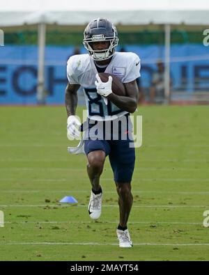 Tennessee Titans wide receiver Terry Godwin (80) runs the ball against Baltimore  Ravens linebacker Diego Fagot (48) during the second half of a NFL  preseason football game, Thursday, Aug 11, 2022, in