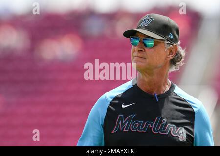 Miami Marlins manager Don Mattingly, left, and a trainer, right