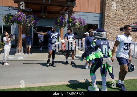 Seattle Seahawks offensive tackle Greg Eiland (75) blocks during an NFL  pre-season football game against the Minnesota Vikings, Thursday, Aug. 10,  2023 in Seattle. (AP Photo/Ben VanHouten Stock Photo - Alamy