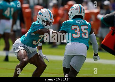 Miami Dolphins cornerback Elijah Hamilton (33) interferes with a