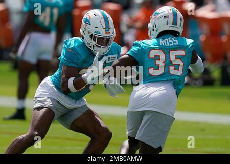 Miami Dolphins cornerback Elijah Hamilton (33) interferes with a