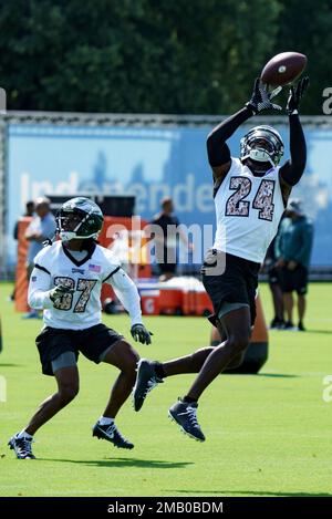 Philadelphia Eagles' Davion Taylor in action during practice at NFL  football training camp, Sunday, July 30, 2023, in Philadelphia. (AP  Photo/Chris Szagola Stock Photo - Alamy