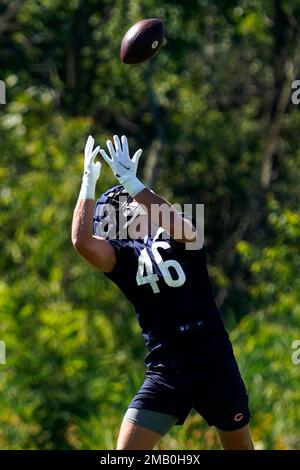 Chicago Bears tight end Jake Tonges (46) during an NFL Preseason football  game against the Seattle