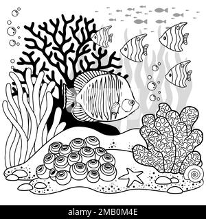 Vector coloring book page for adults. Black and white illustration of underwater life, sea creature, shell, algae and fish Stock Vector