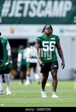 New York Jets linebacker Quincy Williams (56) runs against the New England  Patriots during an NFL football game Sunday, Oct. 30, 2022, in East  Rutherford, N.J. (AP Photo/Adam Hunger Stock Photo - Alamy