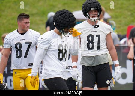 Steelers 2-a-days: Pat Freiermuth could ascend to stardom, good friend Zach  Gentry an ideal complement