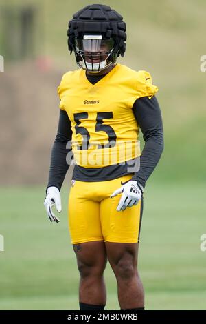 Steelers LB Devin Bush Expected To Be Cleared For Training Camp