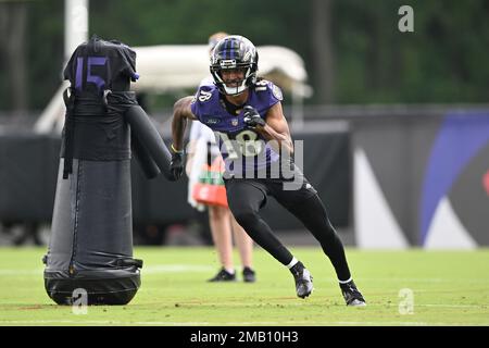 BALTIMORE, MD - AUGUST 27: Baltimore Ravens wide receiver Makai