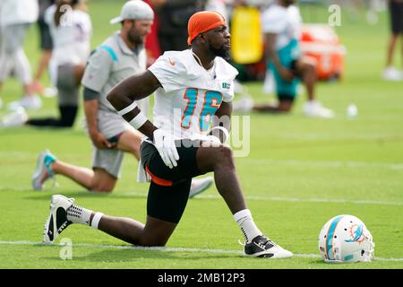 Miami Dolphins wide receiver Mohamed Sanu (16) is shown during a